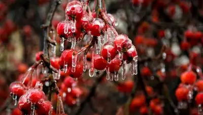 Zakon.kz, фото - Новости Zakon.kz от 06.03.2016 21:54