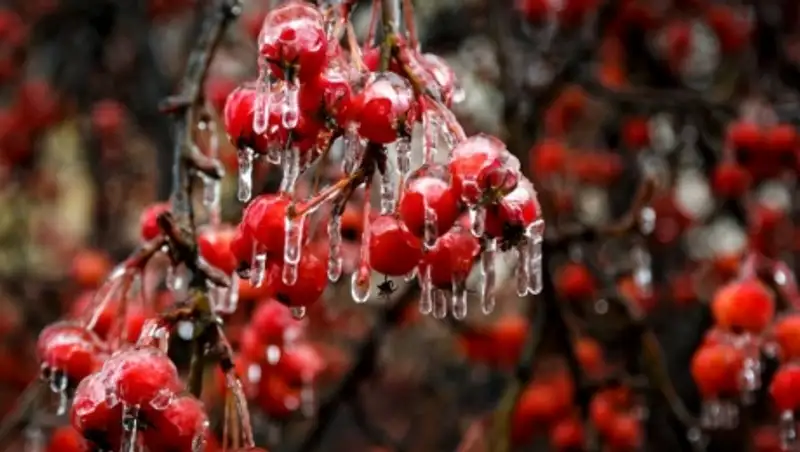 20 шедевров природы на рубеже зимы и весны