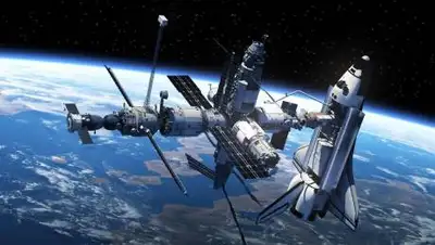 Divine, фото - Новости Zakon.kz от 02.07.2021 12:57