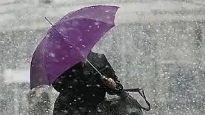 Zakon.kz, фото - Новости Zakon.kz от 09.03.2016 15:56