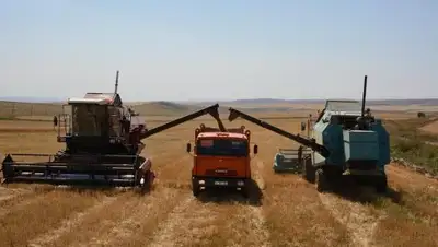 Zakon.kz, фото - Новости Zakon.kz от 29.08.2017 11:55