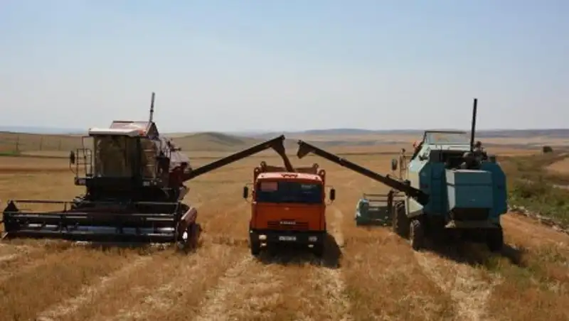 Завершена уборка урожая в Жамбылской области