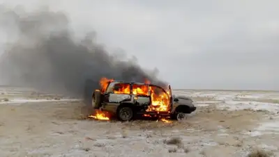 Комитет лесного хозяйства и животного мира, фото - Новости Zakon.kz от 06.12.2019 15:29