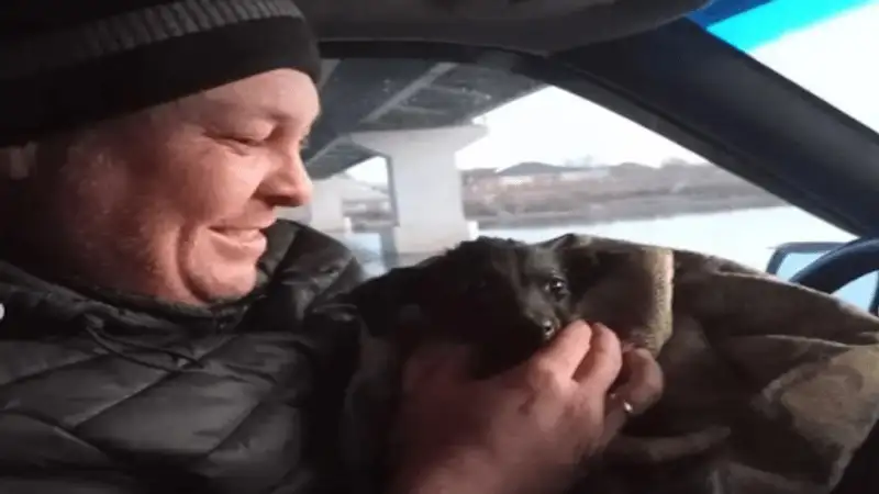 Засунули в мешок: В Атырауской области дети пытались утопить щенка в реке