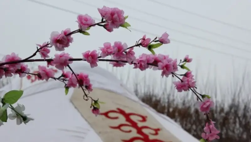 На Наурыз погода побалует казахстанцев своим теплом