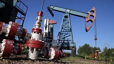 Zakon.kz, фото - Новости Zakon.kz от 12.07.2016 07:34