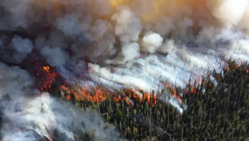 В России продолжают гореть тысячи гектаров леса