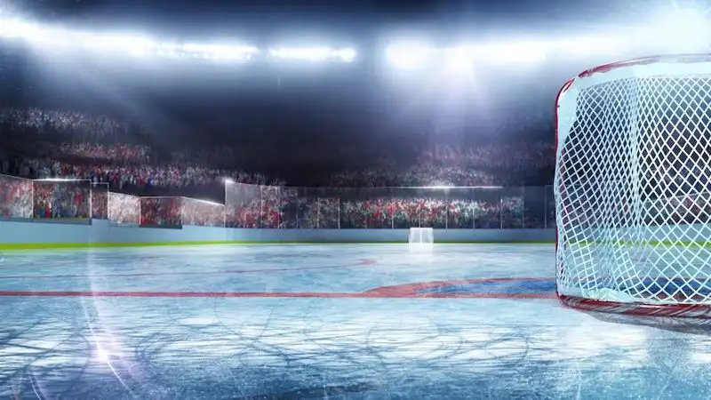 Германия и Канада сыграют в финале Чемпионата мира по хоккею