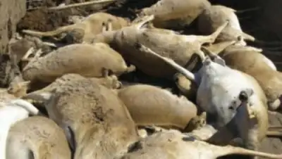 Zakon.kz, фото - Новости Zakon.kz от 21.05.2015 02:15