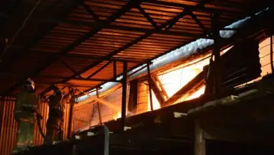 Zakon.kz, фото - Новости Zakon.kz от 19.08.2016 17:58