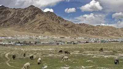 землетрясение, фото - Новости Zakon.kz от 09.03.2023 09:19