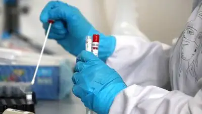 Станислав Красильников/ТАСС, фото - Новости Zakon.kz от 20.02.2021 10:00