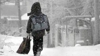 medialeaks.ru, фото - Новости Zakon.kz от 25.01.2019 15:20