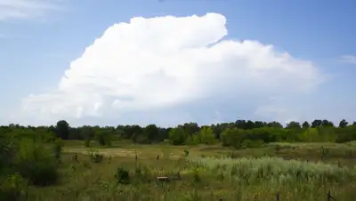 Википедия, фото - Новости Zakon.kz от 24.07.2019 17:51