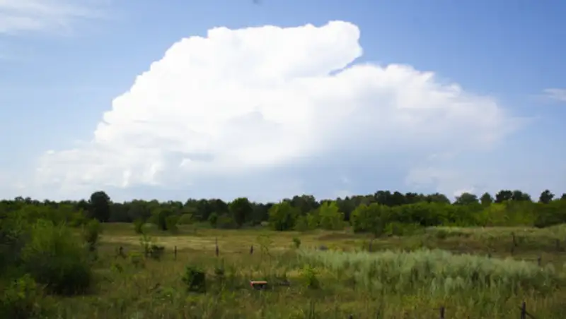 Казгидромет: Жара отступает