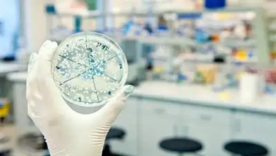 © Fotolia / borzywoj, фото - Новости Zakon.kz от 05.04.2018 12:19