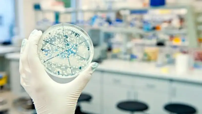 В Кыргызстане назвали причину отравления около 250 человек в ресторане