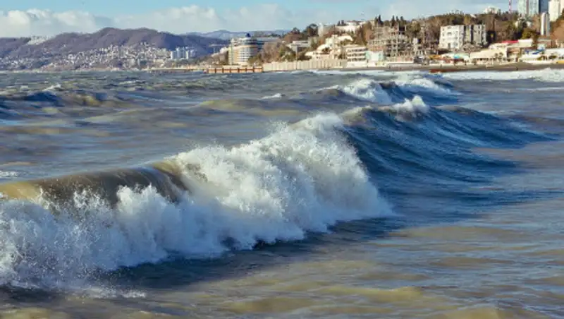 В Сочи выпал снег