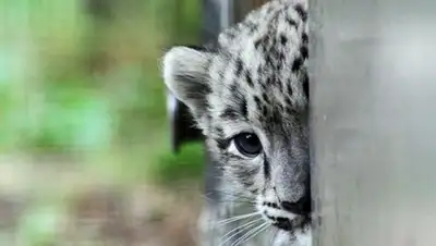 Zakon.kz, фото - Новости Zakon.kz от 30.03.2016 15:52