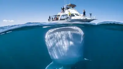 Zakon.kz, фото - Новости Zakon.kz от 07.03.2018 21:28