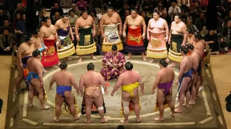 Борцы сумо вынудили авиакомпанию предоставить второй самолет из-за перевеса