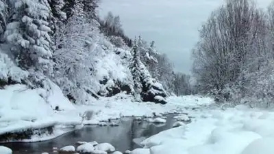 pixabay.com, фото - Новости Zakon.kz от 20.10.2020 12:06