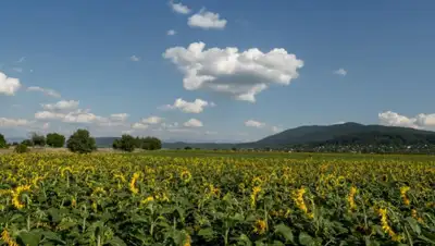 pxhere.com, фото - Новости Zakon.kz от 18.06.2019 09:02