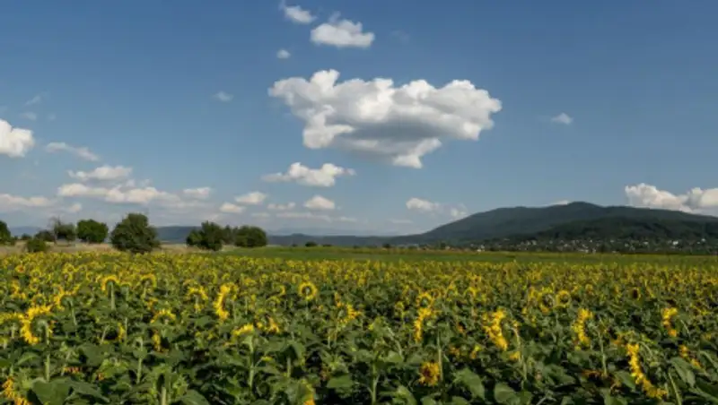 Чего ждать от погоды 18 июня в Казахстане