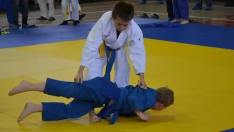Мать юного дзюдоиста избила проигравшего сына и заступившегося за него судью
