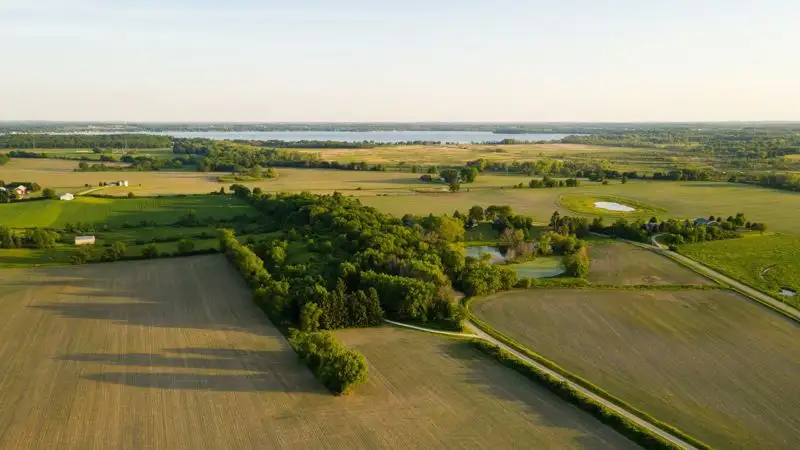 Более 50 тысяч гектаров земли незаконно раздали чиновники в СКО