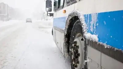 Zakon.kz, фото - Новости Zakon.kz от 25.01.2018 09:45