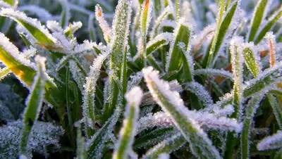 Zakon.kz, фото - Новости Zakon.kz от 13.05.2015 04:59