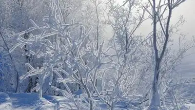 pixabay.com, фото - Новости Zakon.kz от 07.12.2020 12:06