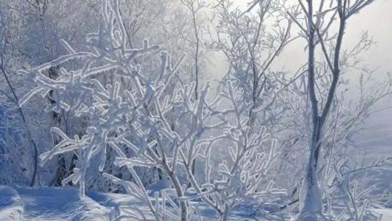 В Казахстане потеплеет