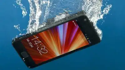 micommuniti, фото - Новости Zakon.kz от 02.06.2020 07:58