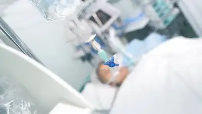 profile.ru, фото - Новости Zakon.kz от 23.11.2020 11:56