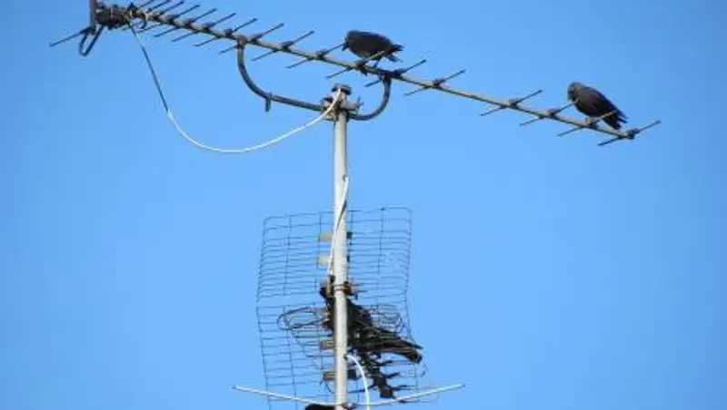 Какую антенну купить для цифрового ТВ