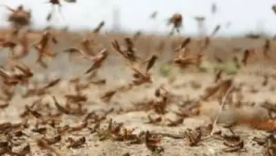 Zakon.kz, фото - Новости Zakon.kz от 06.06.2016 23:54