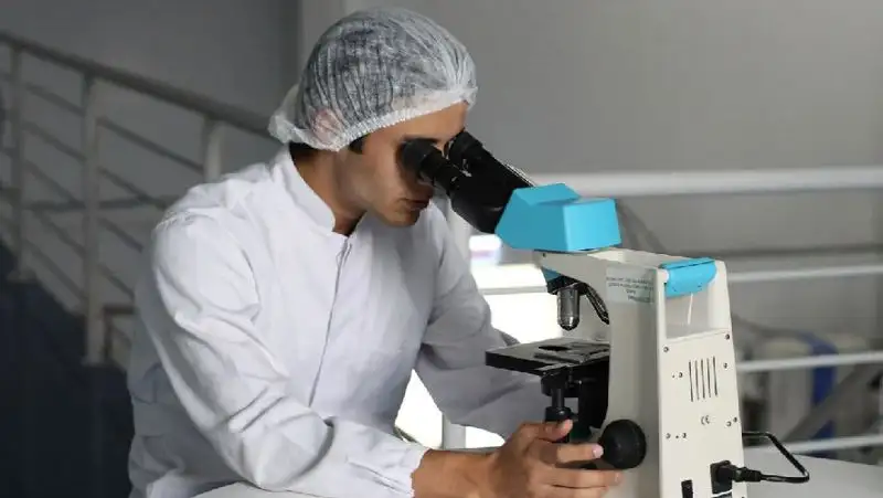 Ученые научились управлять бактериями с помощью ультразвука