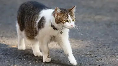 Zakon.kz, фото - Новости Zakon.kz от 19.02.2016 23:12