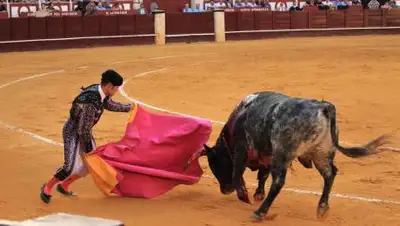 pixabay.com, фото - Новости Zakon.kz от 06.09.2021 16:28