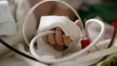 Zakon.kz, фото - Новости Zakon.kz от 11.09.2017 13:07