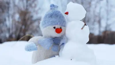 pxhere.com, фото - Новости Zakon.kz от 30.12.2019 12:28