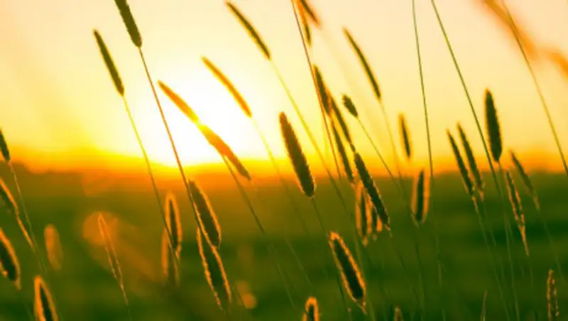 Хорошая погода ожидает казахстанцев в выходные