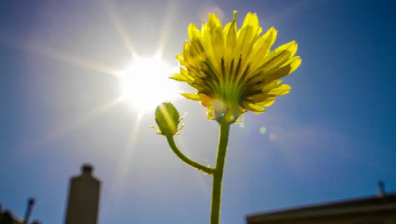 Жара до 47 градусов ожидается на юге Казахстана