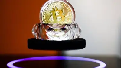 Zakon.kz, фото - Новости Zakon.kz от 15.08.2017 16:28