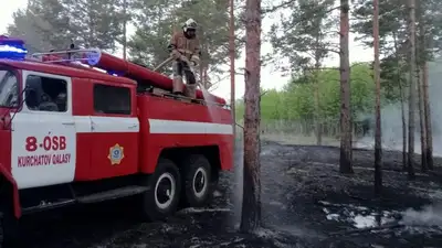  Вице-министр Кульдиков прибыл к месту лесного пожара, фото - Новости Zakon.kz от 24.05.2023 10:02