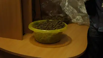 news.vmurmanske.ru, фото - Новости Zakon.kz от 29.05.2019 09:15