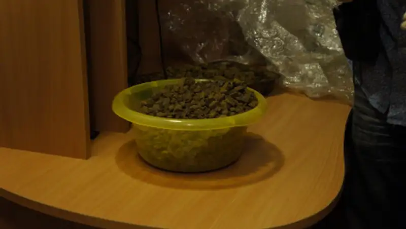 23 кг наркотиков изъяли сотрудники КНБ в ходе спецопераций в Костанайской области