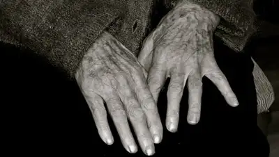 pixabay, фото - Новости Zakon.kz от 08.03.2019 11:39